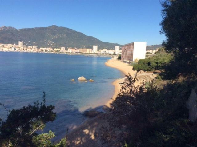 Villa D'Exception, Piscine, Vue Mer, Plage A 100M Ajaccio  Exterior foto